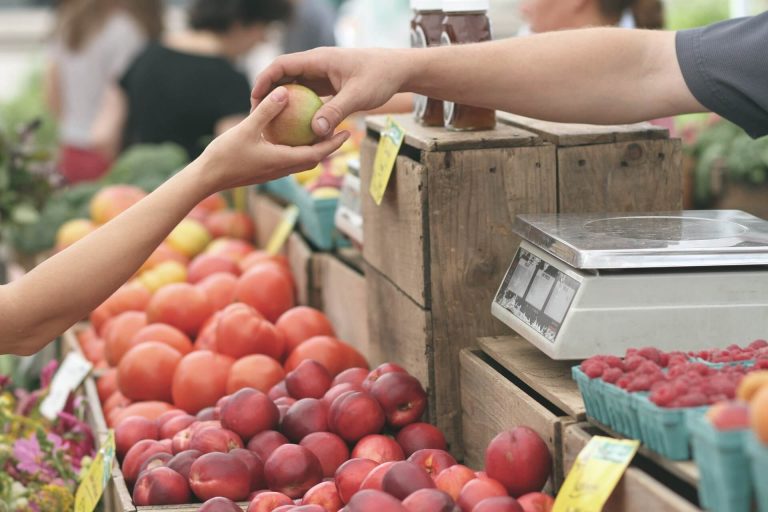Tipps FrachtPilot Blog Software Lieferservice Direktvermarktung regionale Lebensmittel Lieferdienst 7 Tipps